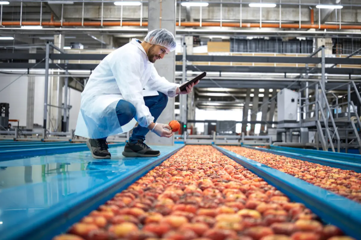 Food and beverage QC testing in a lab